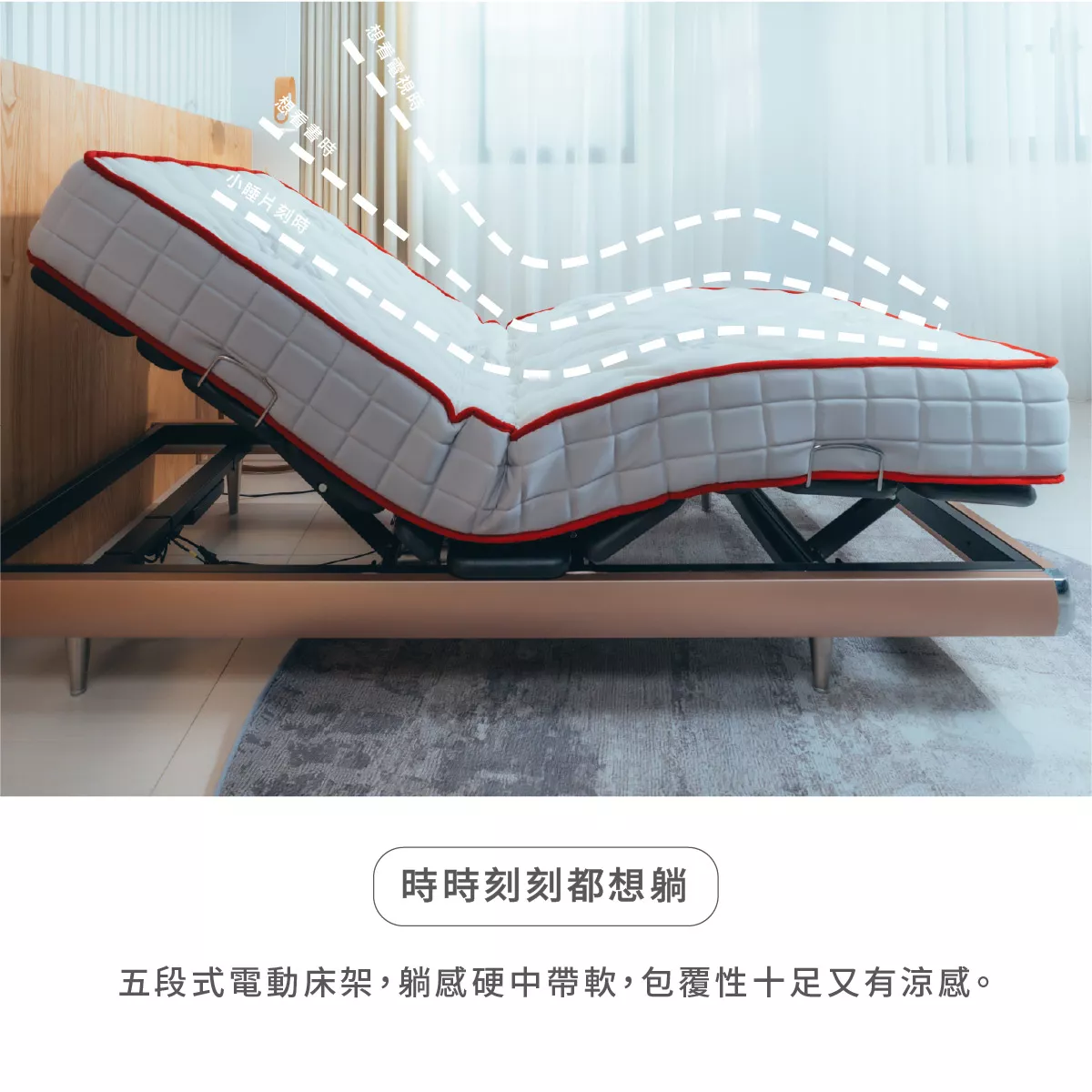 電動床D2,彈簧電動床,頂級電動床,獨立筒電動床,透氣電動床